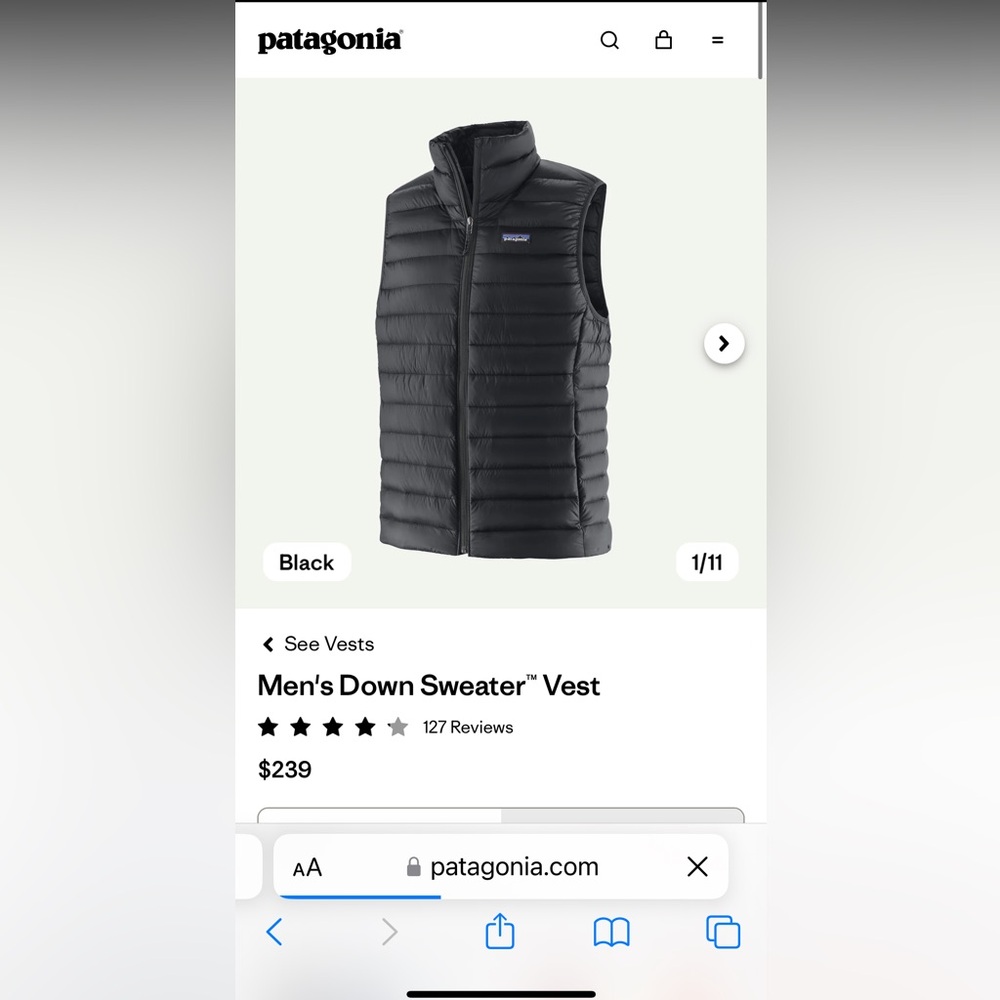 Patagonia Men’s Down Sweater Vest